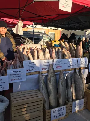 Рыба Якутии — 2023»: Как вам цены? - Новости Якутии - Якутия.Инфо