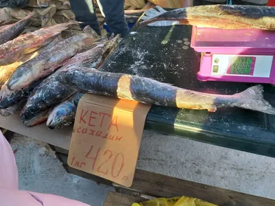 Компании инЯкутия: Рыбный рынок. Туры по Якутии