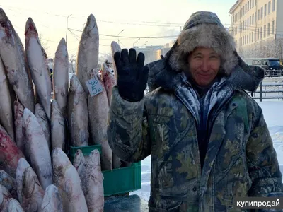 За два дня на ярмарке в Якутске продали более 20 тонн рыбы — Улус Медиа