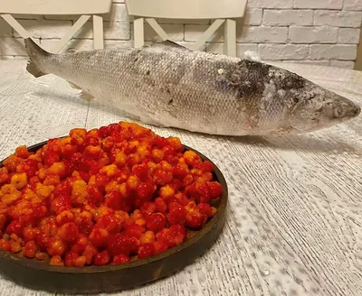 Нижнеколымская рыба продавалась на республиканской ярмарке «Рыба Якутии» —  Улус Медиа