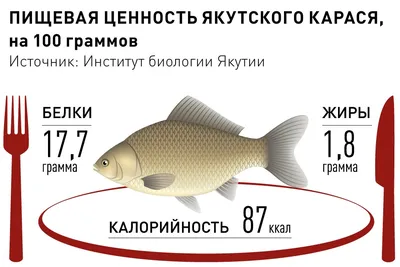 В выходные в Якутске состоится ярмарка \"Рыба Якутии-2019\" | Aartyk.ru -  Хроника, События и Факты