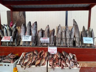 Выставка-ярмарка «Рыба Якутии» пройдет в столице региона 22-23 октября -  Информационный портал Yk24/Як24