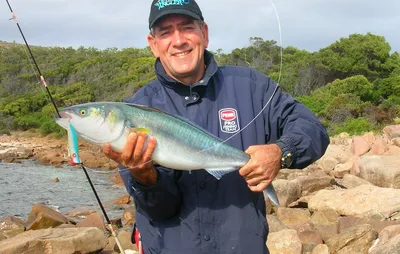 HOW TO TASTY COOK FISH KAHAWAI (AUSTRALIAN SALMON) - YouTube