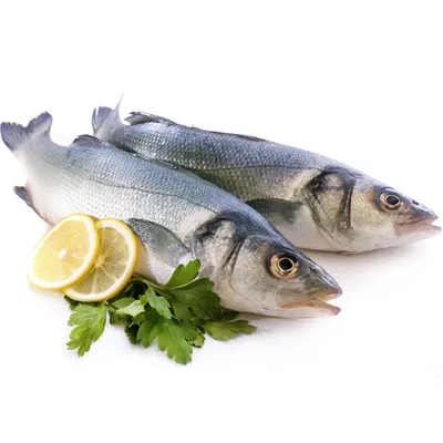Рыба кахавай (лакедра) (сухой посол) – кулинарный рецепт