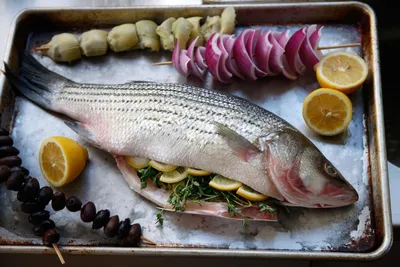 виды рыб - Питание и продукты