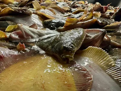 Около 400 тонн рыбы смогут купить жители Камчатки в этом году по доступным  ценам – ИА Камчатка