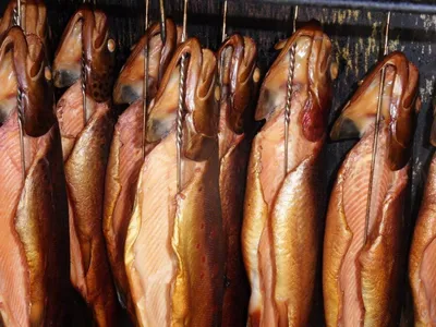 Рыбалка ограничена: где же брать полезные витамины, которыми богата рыба? |  Первый ярославский телеканал