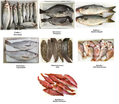 Фото: Капитан Немо, рыба и морепродукты, Силикатная ул., 19А, стр. 1,  Мытищи — Яндекс Карты