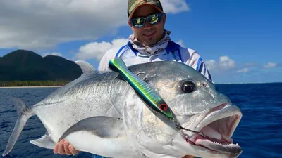 Флорида » Каранкс тихоокеанский (Jack, Pacific crevalle, Caranx caninus)