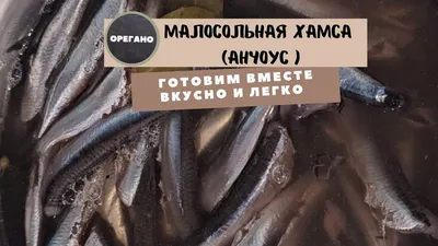 Отзыв о Хамса холодного копчения Афанасий | Тухлые рыбьи трупики по 350  рублей за кило