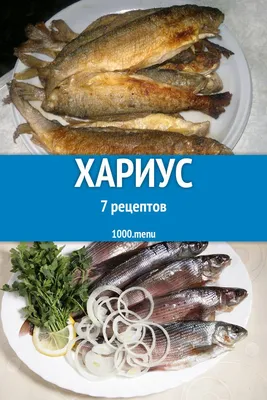 Хариус » baikalfishing.ru