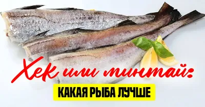 Рыба Fish House Хек филе медальон - «Приемлемо.» | отзывы