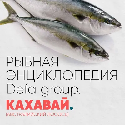 Хоки: что это за рыба, в чем ее польза и как приготовить | fish2o |  производитель премиум лосося | Дзен