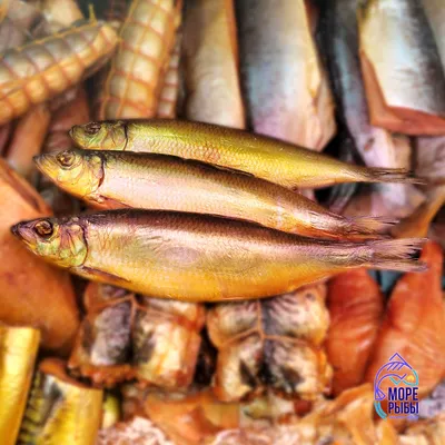 Муксун холодного копчения от 2500₽ за кг | Азбука Севера – сеть магазинов  дикой рыбы