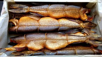 Горбуша холодного копчения купить по выгодным ценам в Киеве, заказать Рыба  холодного и горячего копчения онлайн в интернет магазине морепродуктов  ribka.ua