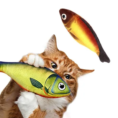 Можно ли котам сырую рыбу:как правильно кормить и чем вредна рыба для кошек  читать на Еxomania