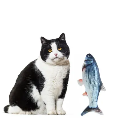 Купить Плюшевая кошка Рыба Мятная рыба Домашняя кошка Игра в погоню Игрушка  для кошек Игрушка для кошек Кальмар Забавная игрушка для кошек | Joom