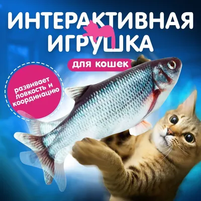 Игрушка для кошек Рыба Скумбрия с валерианой и кошачьей мятой 19,5 см, цвет  Голубой, цены, купить в интернет-магазине Четыре Лапы с быстрой доставкой