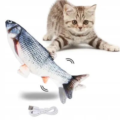Кот и рыба картинки - 61 фото