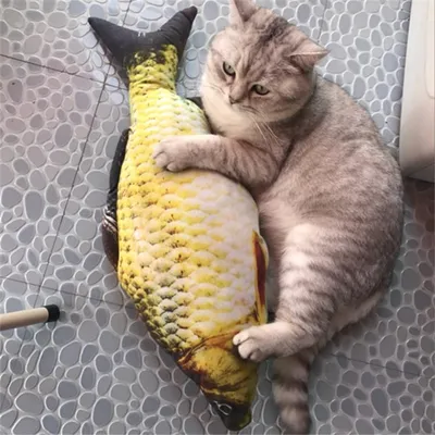Кошка и рыба стоковое фото. изображение насчитывающей концепции - 166122904