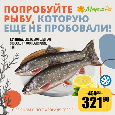 ФОРЕЛЬ, КУМЖА (Salmo trutta) - Интернет-клуб нахлыстовиков