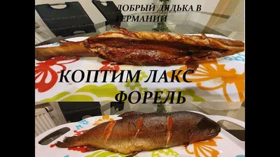 Гравад лакс - первый шведский рецепт.: eugena_klykova — LiveJournal