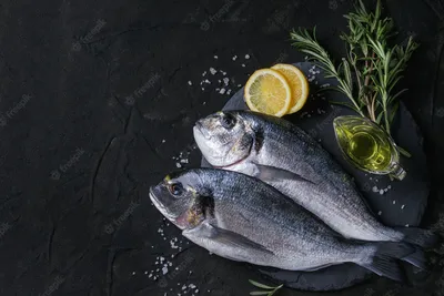 Семга и форель: отличия, какая вкуснее и дороже - Frost-Fish