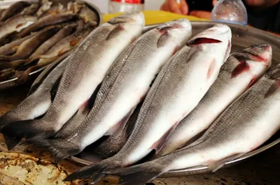 Рыба в имбирно-соевом соусе с лапшой – кулинарный рецепт