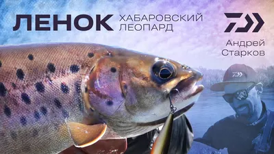 🐟рыба Ленок, Щука (2.3 кг). Якутия 🐟 ☑Фото от рыбака… | Instagram