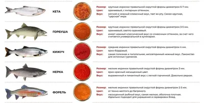 Воздушные плавательные шары с дистанционным управлением, Акула, рыба,  Летающая акула, игрушки, летающие воздушные шары с дистанционным  управлением, Акула, украшение для вечеринки, игрушка, подарки | AliExpress