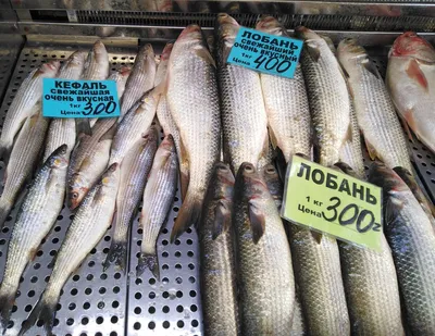 Хек Лобань тушка свежемороженый 1 кг - \"По-Рыбке\" - интернет-магазин  морепродуктов, рыбной и снековой продукции. - По-Рыбке