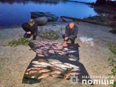 Подсобное хозяйство по выращиванию и продаже товарной рыбы, рыбное  хозяйство, рыбоводство, Республика Татарстан, Азнакаевский район — Яндекс  Карты