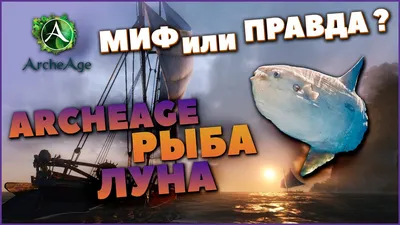 Обыкновенная рыба-луна, Природа 3D модель для ЧПУ: STL / MAX (obj)