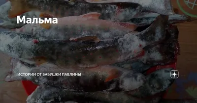 РР4 ЯМА НЕРКА КИЖУЧ МАЛЬМА / РУССКАЯ РЫБАЛКА 4 ЯМА НЕРКА КИЖУЧ МАЛЬМА /  RUSSIAN FISHING 4 YAMA RIVER - YouTube