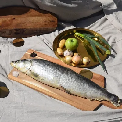 🐟 Купить рыбу в интернет-магазине в Брянске с доставкой на дом: цена от  190 руб – Дикоед