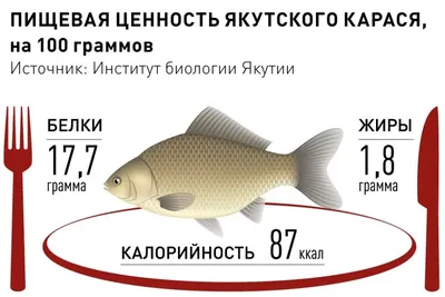 Отзывы о «Рыбалка в Заворово», Московская область, Раменский городской  округ, село Заворово — Яндекс Карты