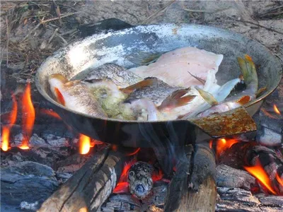 Какую рыбу лучше жарить на мангале - «Вкусная рыба»