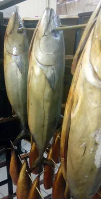 Пеламида – Рыба и морепродукты в Калининграде и области