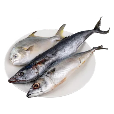 Рыба | Продукты питания от Караван Групп