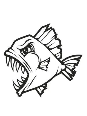 рыба пиранья в воде с обтравочной дорожкой иллюстрации белый рендеринг Фото  Фон И картинка для бесплатной загрузки - Pngtree