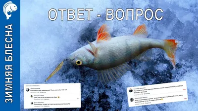 Осенний дуплет