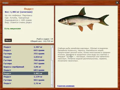 Подуст обыкновенный - П - Реальная русская рыбалка на 1505 рыб - World of  Fishers