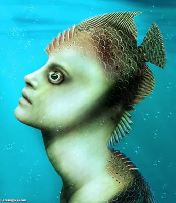 Оказывается, на дне океана тоже живут рыбы. Но они очень странные | РБК Life