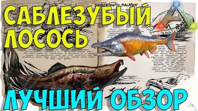 Раскраски рыба саблезуб (45 фото) » Картинки, раскраски и трафареты для  всех - Klev.CLUB