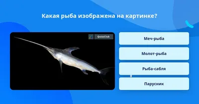 Семейство Волосохвостые или Сабли-рыбы (Trichiuridae) | это... Что такое  Семейство Волосохвостые или Сабли-рыбы (Trichiuridae)?