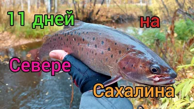 Мойва н/р с/м (1/22) \"Сахалин\"