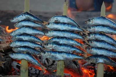 Сардина | chef.ru