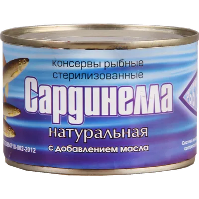 Рыба Pilchardus Sardina сардины свежие на льду Стоковое Изображение -  изображение насчитывающей съемка, длина: 196303629