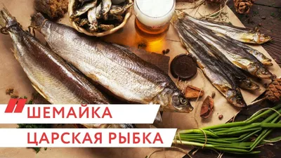 Два новых вида рыб внесли в Красную книгу ЛНР » Новости ЛНР, Луганска,  статьи, мнения