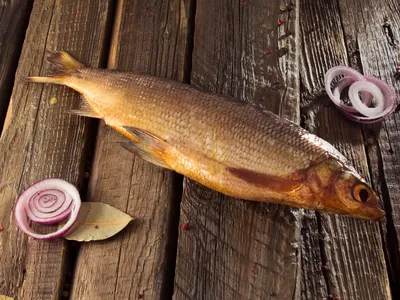 🐟 Сиг холодного копчения , Ладожское озеро (кг) - купить с доставкой в СПб  | Питер-Корюшка - интернет магазин